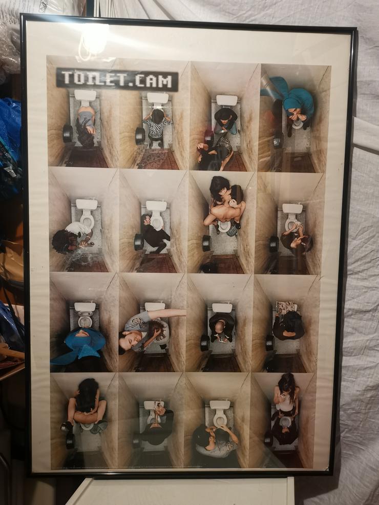 Toilet_cam Poster 