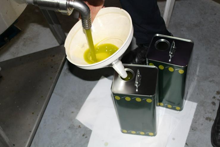 Bild 2: 100% sizilianisches Olivenöl extra vergine Nocellara del belice Castelvetrano