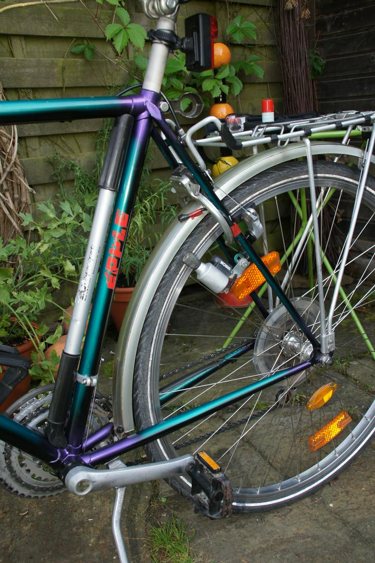Bild 5: ATB All Terrain Bike Epple Nessie CT