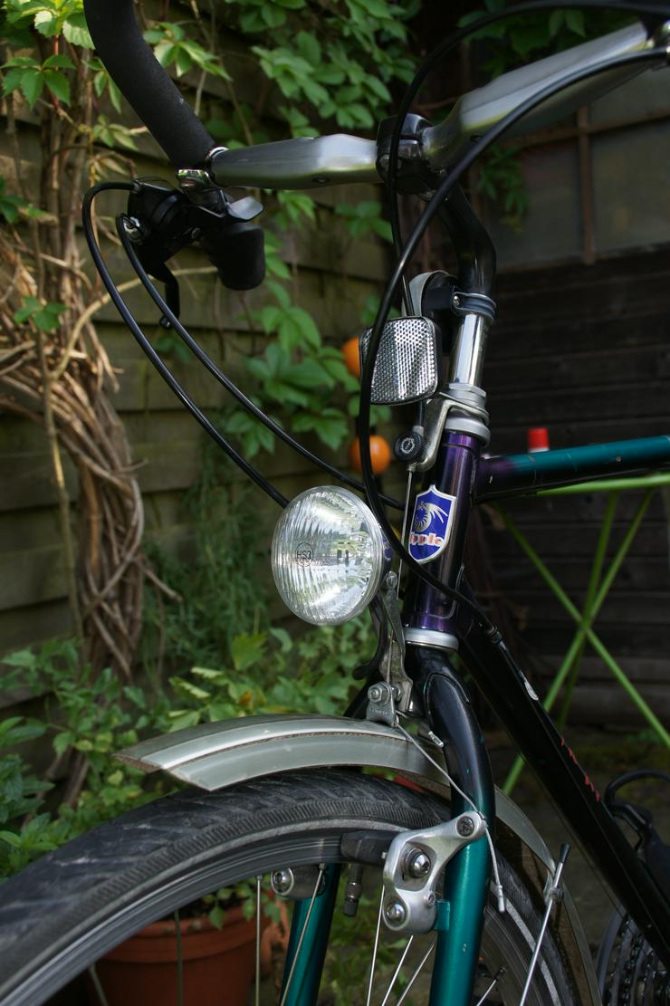 Bild 3: ATB All Terrain Bike Epple Nessie CT