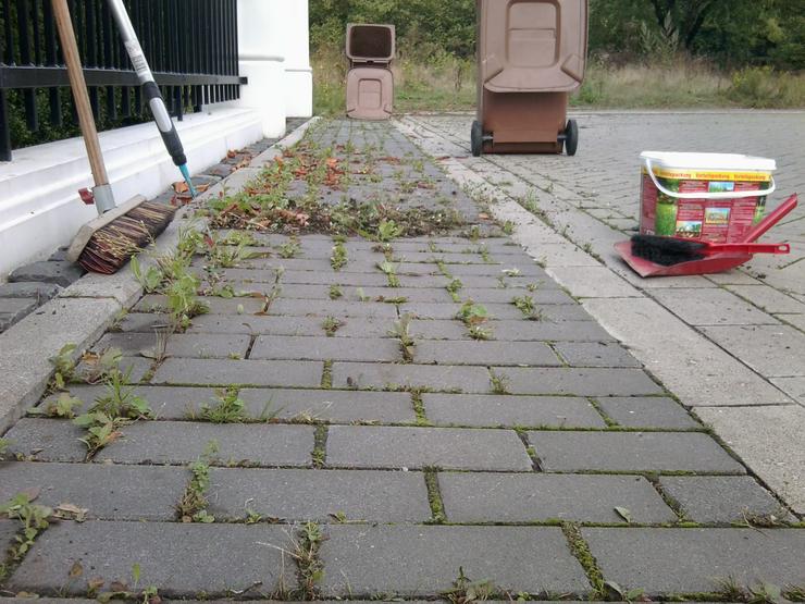 Bild 16: Gartenhelfer hilft in Düsseldorf & Büderich im Garten