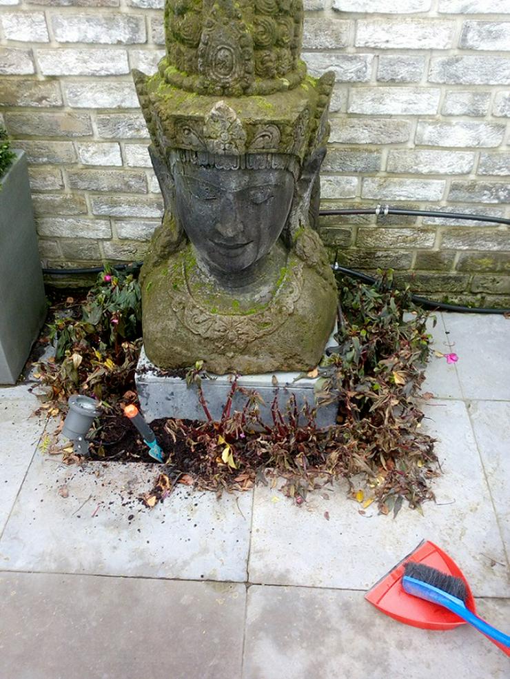 Bild 8: Gartenhelfer hilft in Düsseldorf & Büderich im Garten