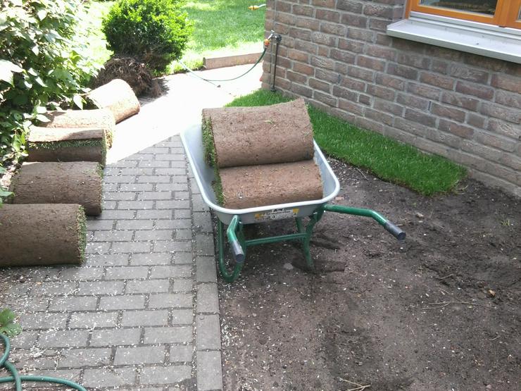 Bild 13: Gartenhelfer hilft in Düsseldorf & Büderich im Garten