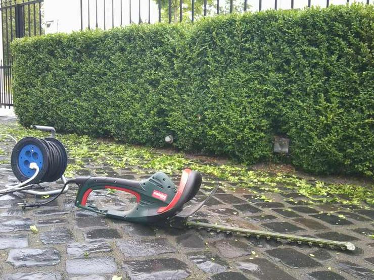 Bild 7: Gartenhelfer hilft in Düsseldorf & Büderich im Garten