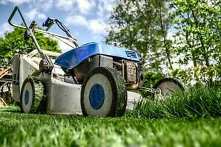 Bild 2: Gartenhelfer hilft in Düsseldorf & Büderich im Garten