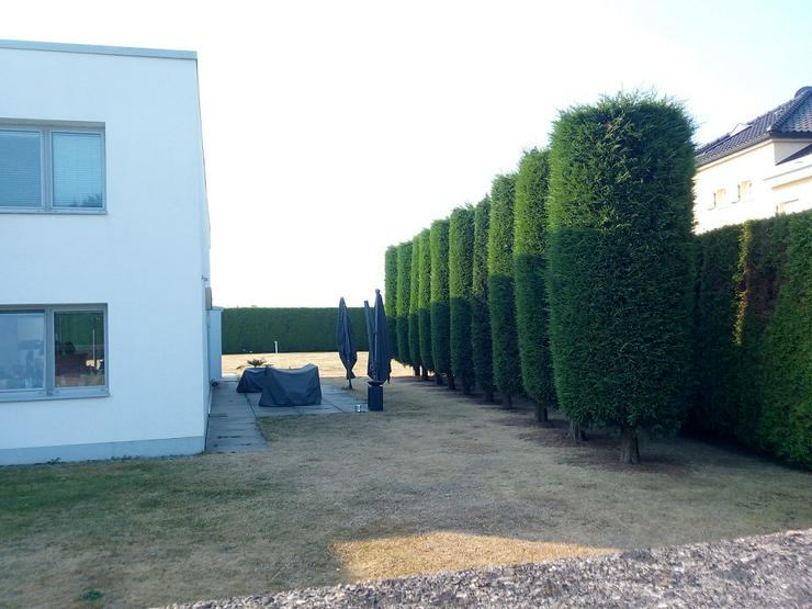 Bild 14: Gartenhelfer hilft in Düsseldorf & Büderich im Garten