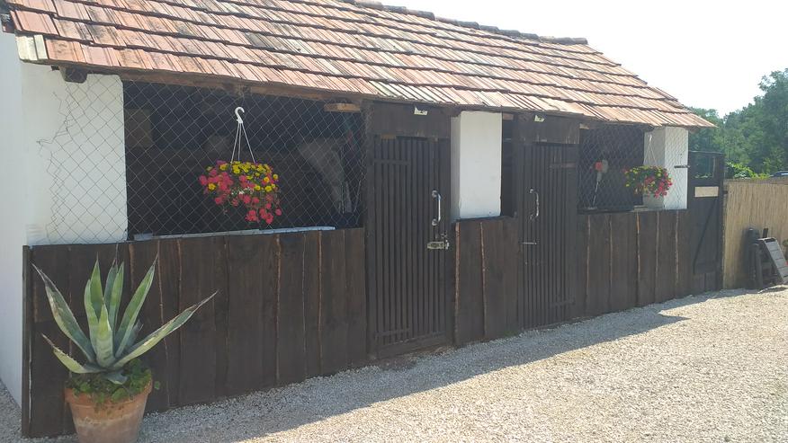 Bild 13: Schönes Landhaus in tollem Dorf am Südbalaton , Ungarn