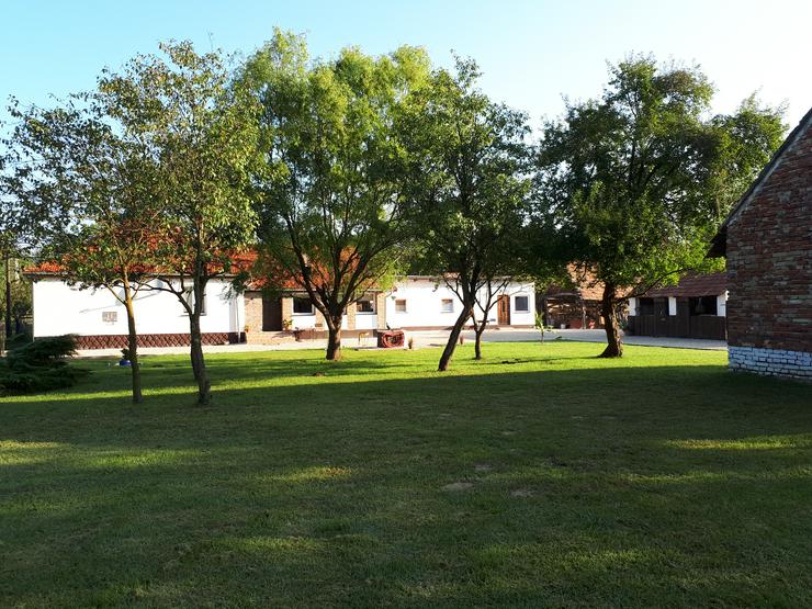 Bild 14: Schönes Landhaus in tollem Dorf am Südbalaton , Ungarn