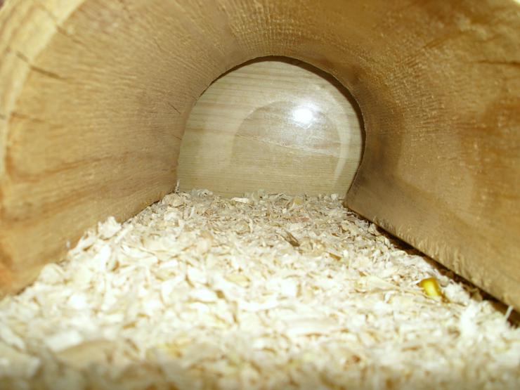 Bild 15: Großer Tunnel für Hamster und Zwerghamster