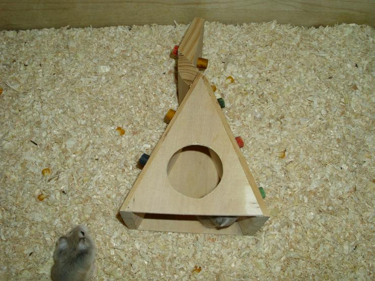 Bild 10: Spielturm für Hamster und Zwerghamster