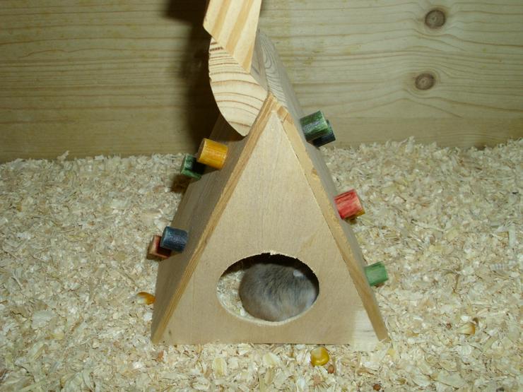 Bild 6: Spielturm für Hamster und Zwerghamster
