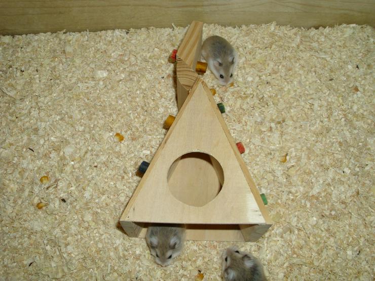 Bild 9: Spielturm für Hamster und Zwerghamster