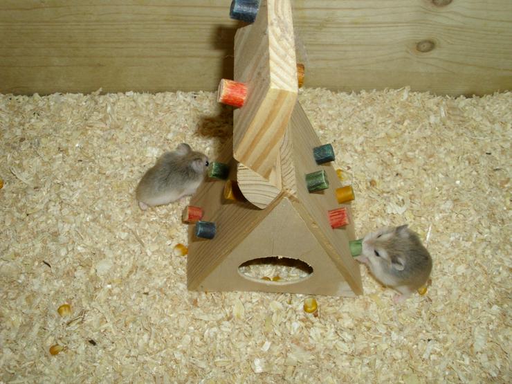 Bild 5: Spielturm für Hamster und Zwerghamster