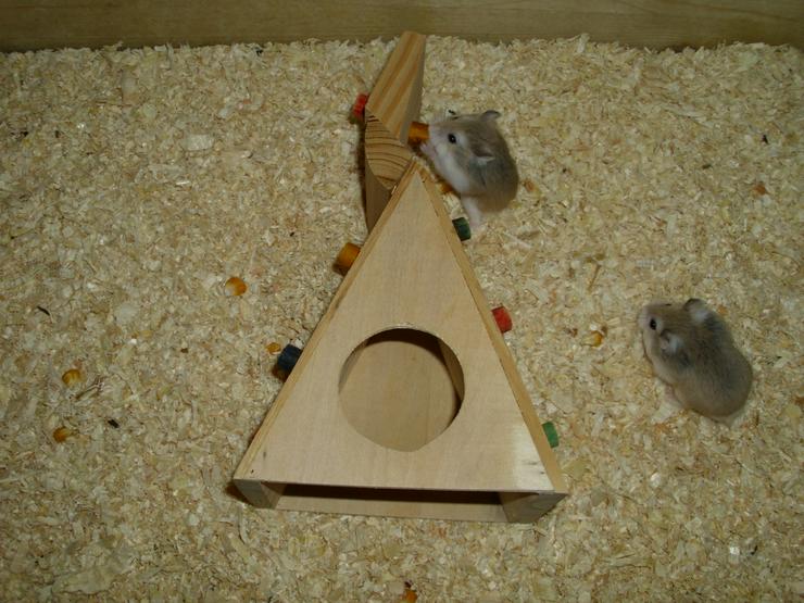 Bild 7: Spielturm für Hamster und Zwerghamster