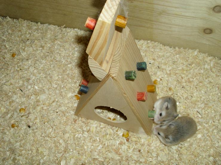 Bild 4: Spielturm für Hamster und Zwerghamster