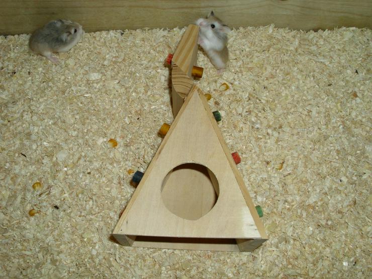 Spielturm für Hamster und Zwerghamster - Käfige, Ställe & Ausstattung - Bild 8