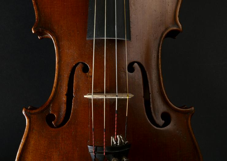 Bild 1: Violine 1891
