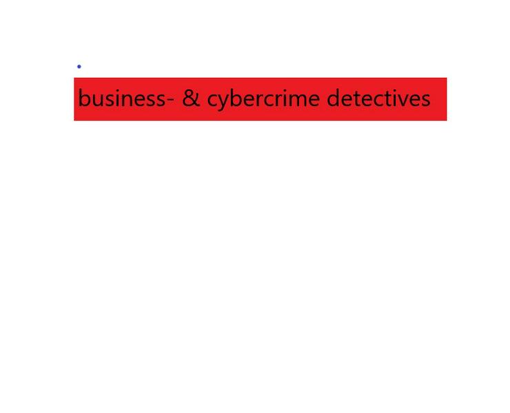 Betrugsanalyse und Vorbeugung für Cyber- und Eco-Crime, Finanztransfers und Firmenübernahmen, Wirtschaftsspionage etc. 