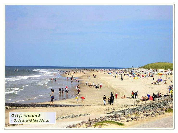 Bild 11: NORDSEE-KÜSTE: ostfries. WOHN-KLASSIKER, saniert & gepflegt, mit Garage + NeGeb. auf weitläuf. Grundstückstück