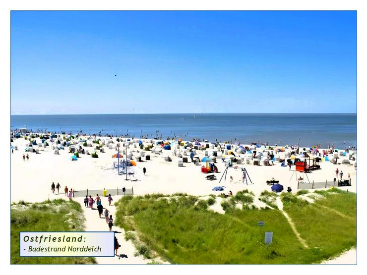 Bild 4: Ostfries. NORDSEE-KÜSTE: Ihr saniertes, modernis. u. gepfl. „EF-FEHNHAUS mit Altbau-Charme“ + Garage u. NeGeb. auf weitläufigem Grundstück.