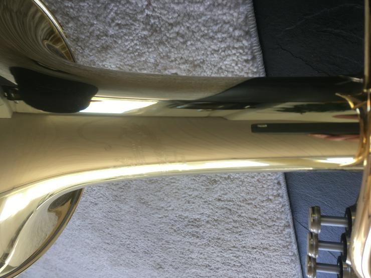 Bild 4: Althorn Alto Horn B+S