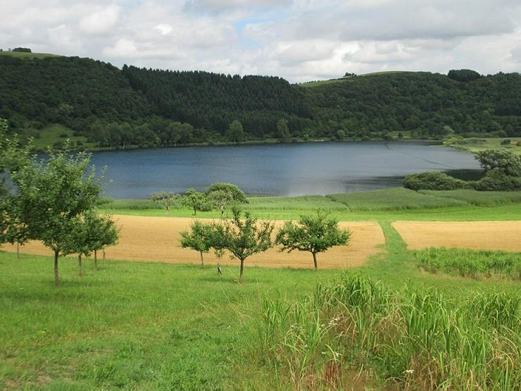 Urlaub mit Hund in der Eifel: Freie Ferienwohnung 2022 - Rheinland-Pfalz & Saarland - Bild 18