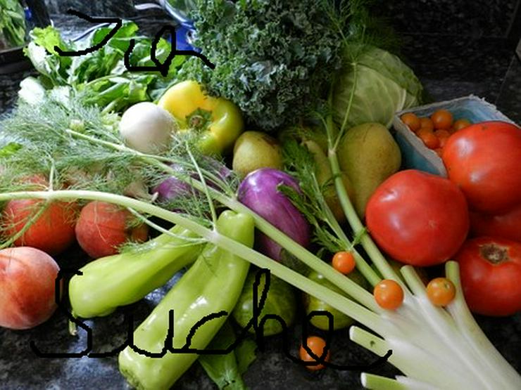 Suche kostenlos Jungpflanzen, Obst und Gemüse nur in 57234 - Weitere - Bild 1