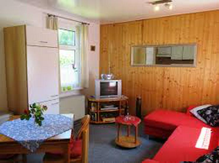 Bild 5: Kleines Ferienhaus mit Sauna in Ostfriesland