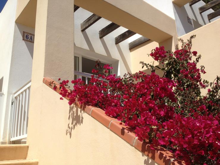 Ferienwohnung auf Ibiza zu vermieten - Wohnung mieten - Bild 4