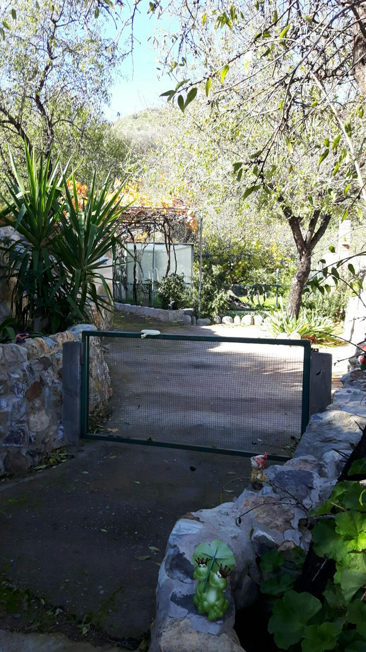 Romantische Finca in den Bergen Gran Canaria - Haus kaufen - Bild 10