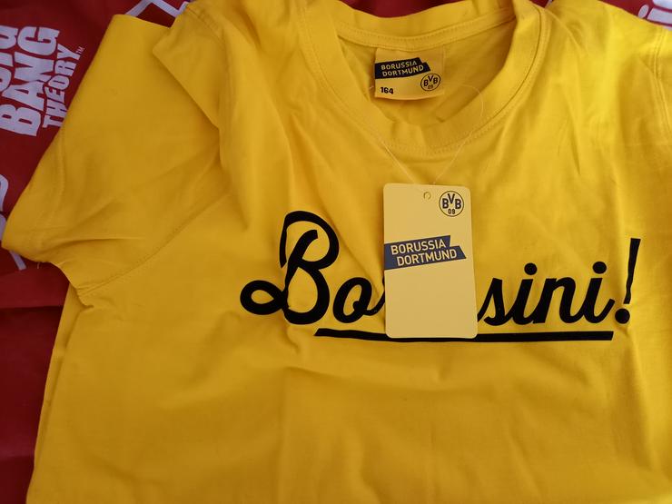 Borussini T Shirt  Gr. 164 zu verkaufen 