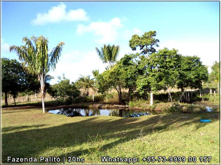Bild 3: Schöner und gepflegter Bauernhof 20 Hektar - Canavieiras, Bahia, Brasilien.