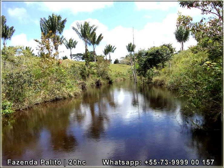 Bild 8: Schöner und gepflegter Bauernhof 20 Hektar - Canavieiras, Bahia, Brasilien.