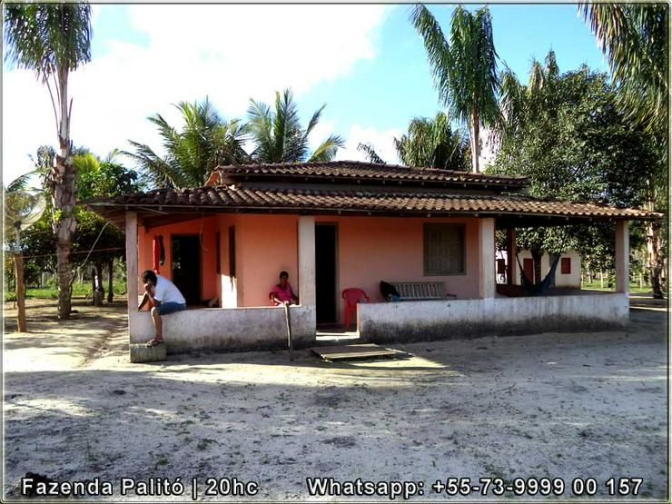 Schöner und gepflegter Bauernhof 20 Hektar - Canavieiras, Bahia, Brasilien. - Gewerbeimmobilie kaufen - Bild 4