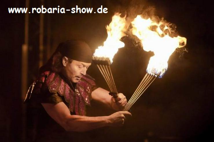 Bild 5: Feuershow Fire Show Erfurt Dresden Suhl Magdeburg Hof Nürnberg buchen