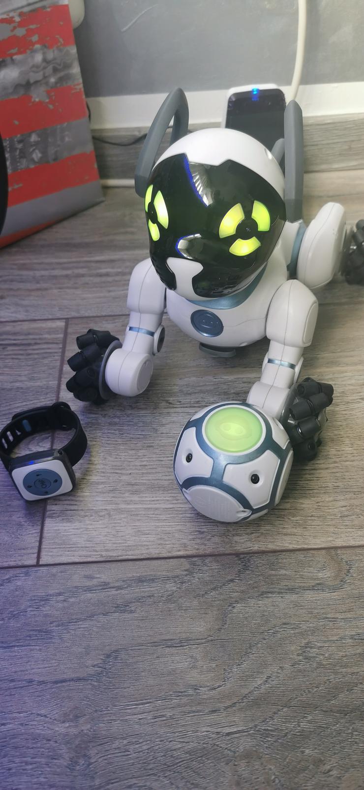 Chip der Roboter Hund 