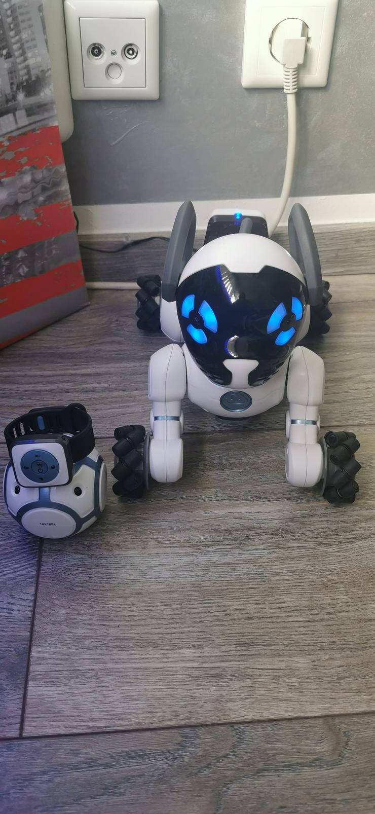 Bild 5: Chip der Roboter Hund 