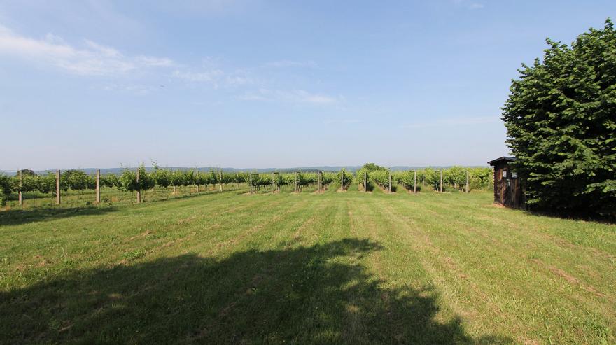 Bild 9: Geräumiges Haus in Ungarn I Haus am Balaton 