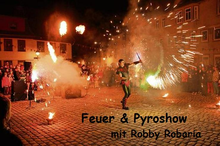 Bild 7: Hochzeit Feuershow Schlangenshow Sachsen Anhalt bis Bayern buchen mieten