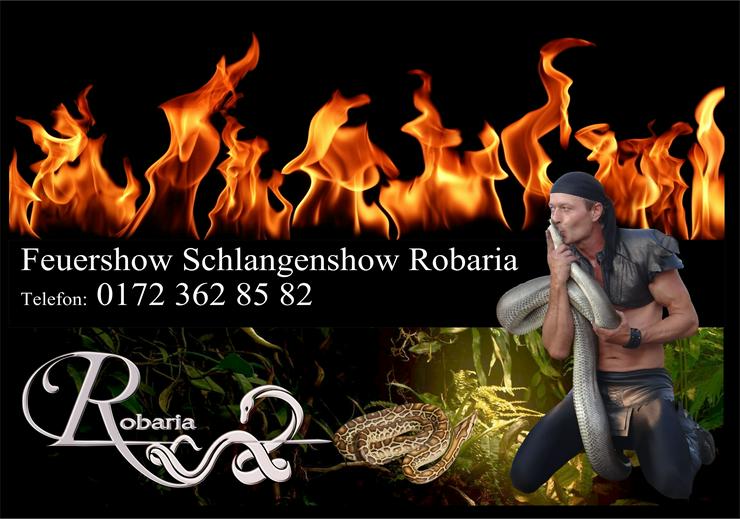 Bild 4: Hochzeit Feuershow Schlangenshow Sachsen Anhalt bis Bayern buchen mieten