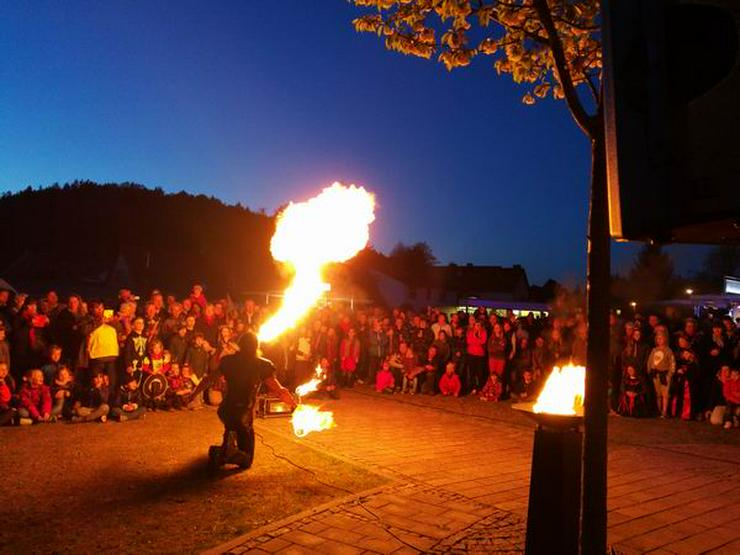 Bild 13: Hochzeit Feuershow Schlangenshow Sachsen Anhalt bis Bayern buchen mieten