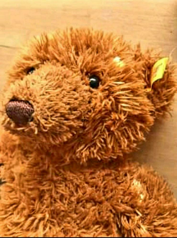 STEIFF Teddybär  - Spielzeug für Babys - Bild 2