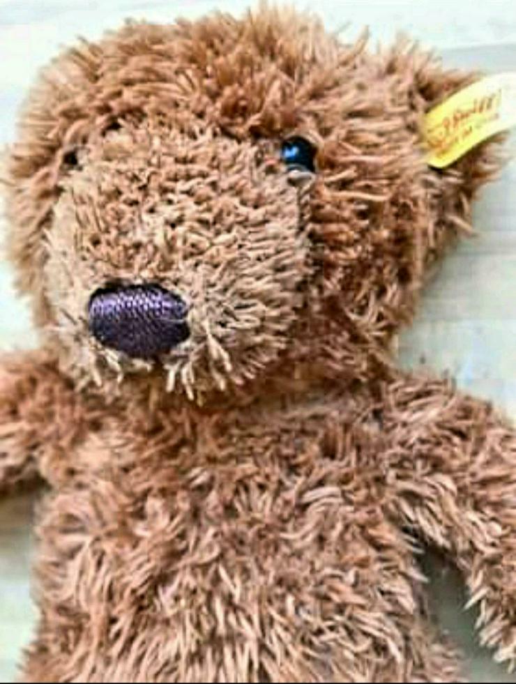 STEIFF Teddybär 