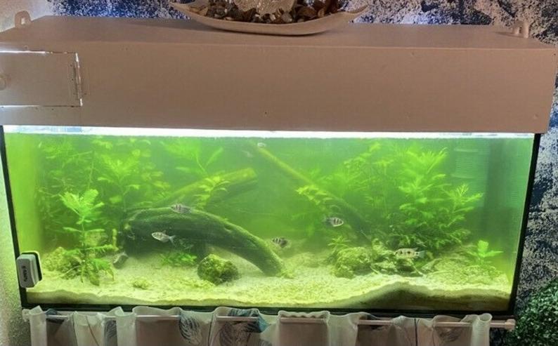 Bild 1: Komplett Aquarium 200 Liter