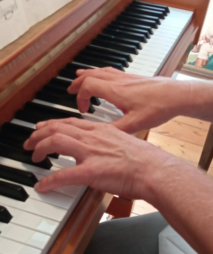 Christine Hardt Klavierunterricht / Orgelunterricht live via Skype - Instrumente - Bild 4