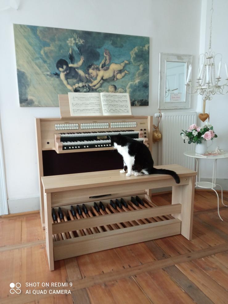 Bild 9: Christine Hardt Klavierunterricht / Orgelunterricht live via Skype