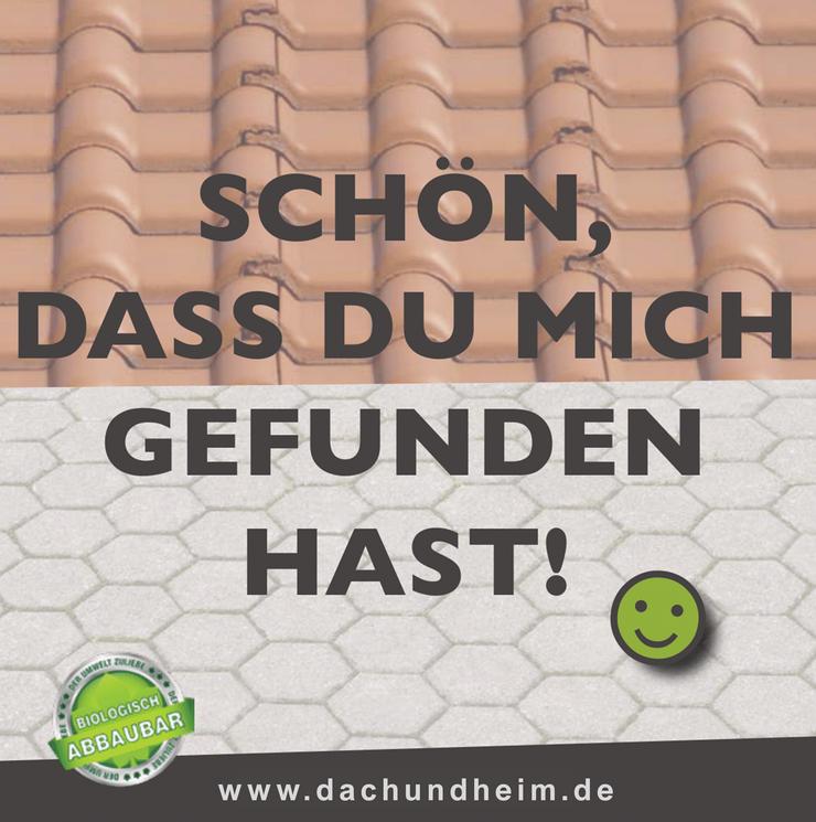 Bild 8: MOOSALARM - Profis für Dachreinigung - Dachinstandhaltung Bayern & Süddeutschland