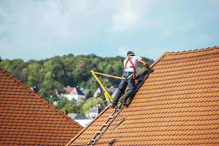 MOOSALARM - Profis für Dachreinigung - Dachinstandhaltung Bayern & Süddeutschland