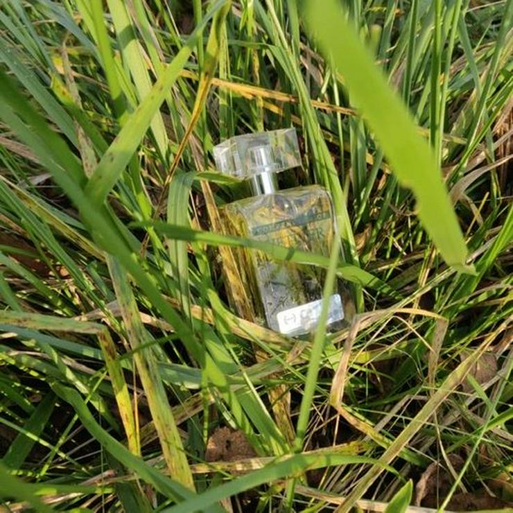 Original Parfüm Vetiver Molecule 03 von HOLO Perfumes London exklusiv 100 ml - Parfums - Bild 2