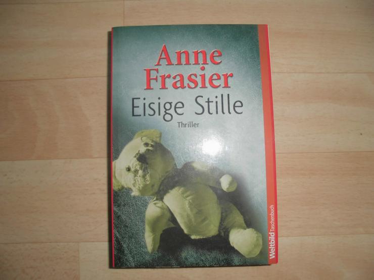Eisige Stille - Anne Frasier